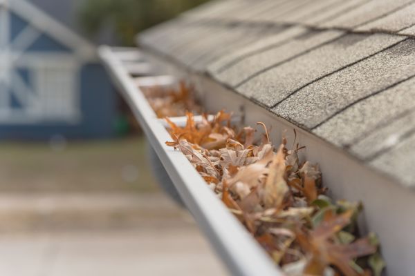 Leaf Barrier Installation in Santa Fe